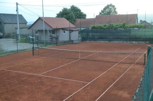 Tenis a/nebo squash v ubytování Rest Apartments nebo okolí
