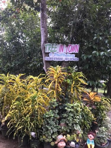 Zahrada ubytování Tree in town ทรีอินทาวน์