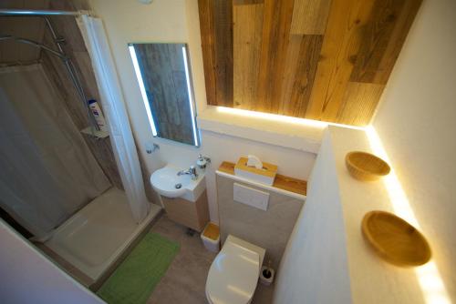 a small bathroom with a toilet and a sink at Serpolet - Studio loft - Sauna in Leysin
