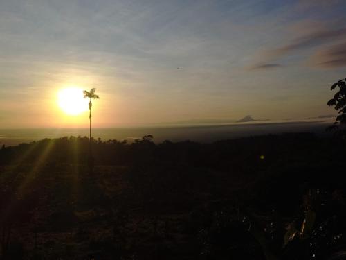 a palm tree on top of a hill at sunset at Río Celeste Nature View in Upala