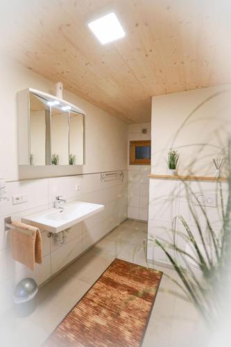 a bathroom with a sink and a mirror and a rug at Daheim im Geissetal in St. Blasien