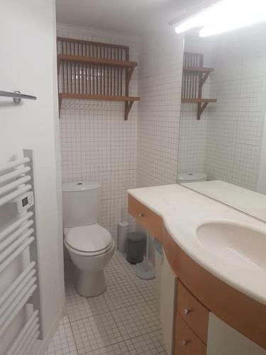 une salle de bain blanche avec des toilettes et un lavabo dans l'établissement Petit loft face rivière, à Collobrières