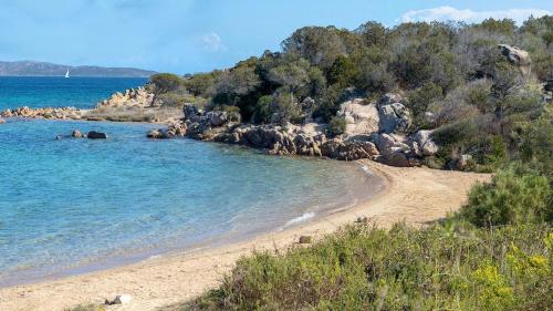 a beach with a group of animals in the water at Residence con piscina a Palau, a soli 150 mt. dal mare in Palau