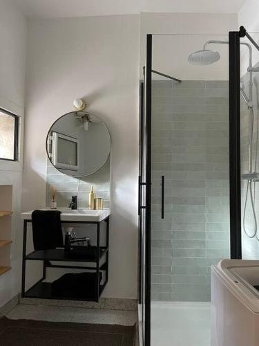 une salle de bain avec une douche, un lavabo et un miroir dans l'établissement Pointe Rouge: Petit cocon entre mer et colline, à Marseille