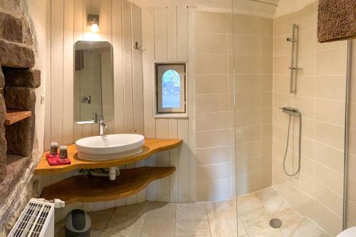 La salle de bains est pourvue d'un lavabo et d'une douche. dans l'établissement Le patio du Château de Thanvillé, à Thanvillé