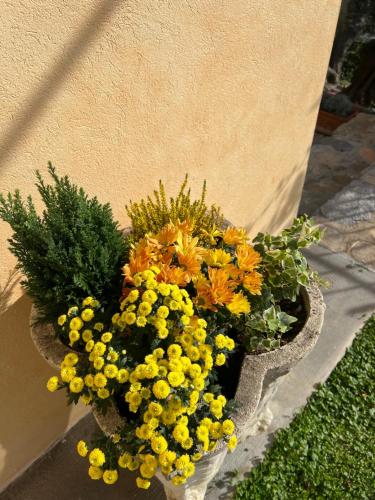 Κήπος έξω από το Agriturismo Le Merline