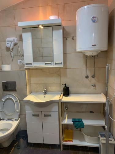 a bathroom with a sink and a toilet and a mirror at Studio Mila in Nova Varoš