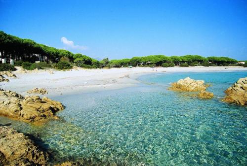 una playa con rocas en el agua y gente en la playa en Residence con piscina a Sos Alinos en Cala Liberotto