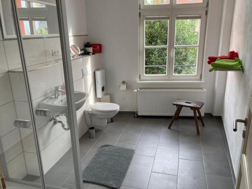y baño con ducha, aseo y lavamanos. en Alte Seifensiederei 3 en Stralsund