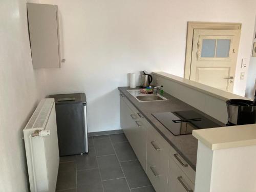 Een keuken of kitchenette bij Alte Seifensiederei 3