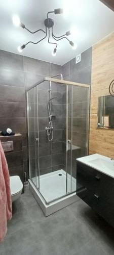 a bathroom with a shower and a toilet and a sink at Dom nad jeziorem WIDOKówka in Żywiec