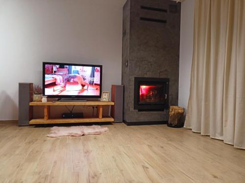 a living room with a flat screen tv and a fireplace at Dom nad jeziorem WIDOKówka in Żywiec