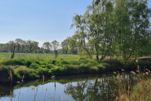 a river with trees and grass in a field at Kleine Auszeit in Trebbin