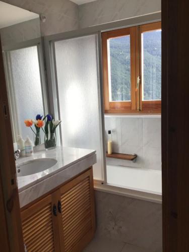 a bathroom with a sink and two windows at CAL RAMUNDAINA in Queralbs