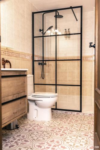 a bathroom with a toilet and a shower at Picaza del Jerte in Cabezuela del Valle