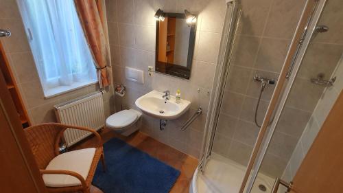 a bathroom with a shower and a sink and a toilet at Ferienwohnung am Dresdner Elbhang in Dresden
