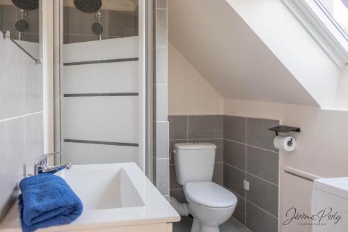 a bathroom with a toilet and a sink at Orléans centre T2 théâtre et cathédrale in Orléans