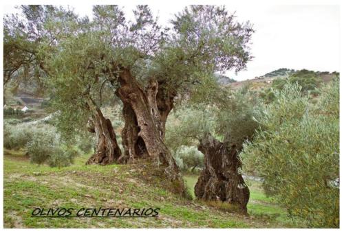 Villa Montiel photo 21