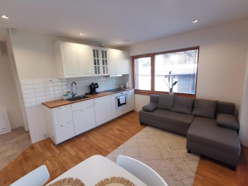 a living room with a couch and a kitchen at Vytauto 423 Apartments by JK in Palanga