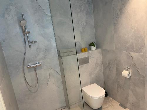 a bathroom with a shower and a toilet at Modern Central Apartment HOTEL in Keila