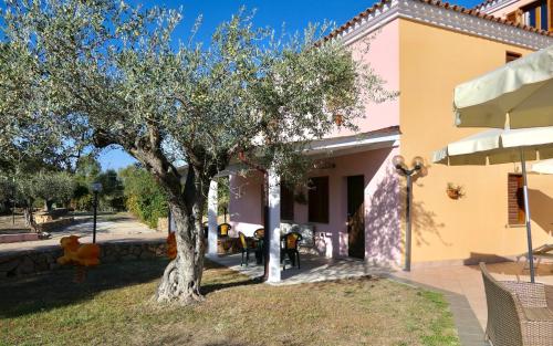 a tree in a yard next to a building at Residence con piscina a Sos Alinos in Cala Liberotto