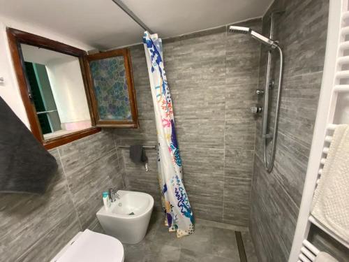 a bathroom with a toilet and a sink and a shower at Double Accomodation In San Frediano in Florence