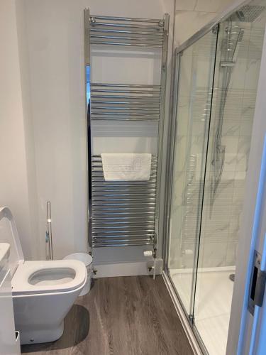 a bathroom with a toilet and a glass shower at The Bay house Apartments , shanklin in Shanklin