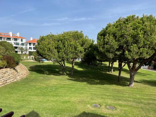 a group of trees in a grassy area with a putting green at House of Rising Sun in Quarteira