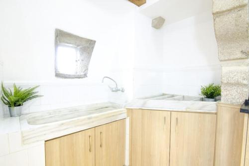 a kitchen with a sink and a counter with potted plants at Vella Nova by Serendipia Turismo in Santiago de Compostela