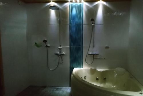 a bathroom with a shower and a bath tub at Villa Vuopajanranta in Rovaniemi