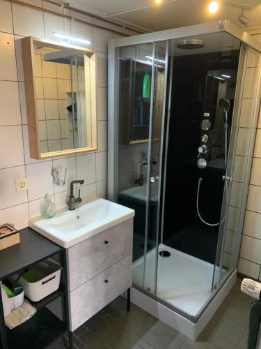 a bathroom with a shower and a sink at Het Vosje in Hengelo