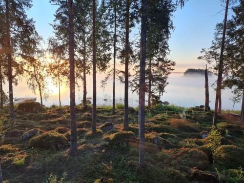 a group of trees on a hill with the ocean in the background at Rantarovio in Alvajärvi
