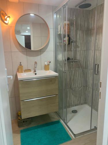 a bathroom with a shower and a sink and a mirror at Cabanon contemporain - Côte bleue - Calanque de la Redonne in Ensuès-la-Redonne
