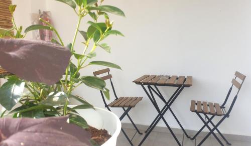 two chairs and a plant in a room at אירוח פינת חן in Ramot Naftali