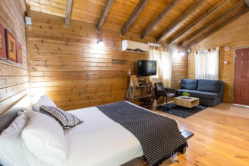 a bedroom with a bed and a couch and a television at אירוח פינת חן in Ramot Naftali