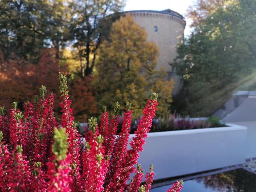 Taman di luar Apartment Serenade am Zwinger
