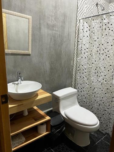 a bathroom with a sink and a toilet and a shower at Margarita in Oaxaca City