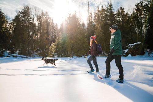 a man and a woman walking a dog in the snow at High Peaks Resort in Lake Placid
