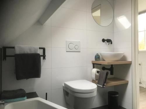 a bathroom with a white toilet and a sink at Duinoord Domburg in Domburg