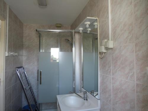 une salle de bain avec une douche, un lavabo et un miroir dans l'établissement Gîte Orchidée, aux Herbiers