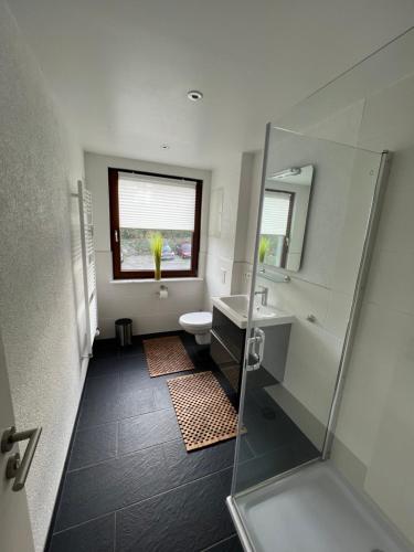een badkamer met een wastafel, een toilet en een spiegel bij Appartementhaus Silberborn in Bad Harzburg