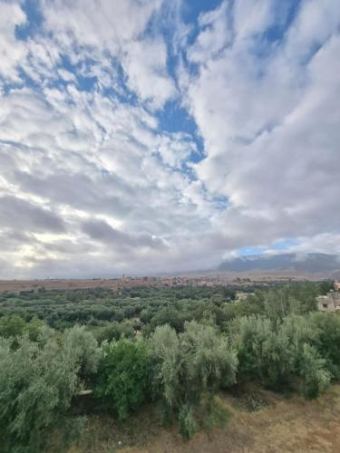 a field of trees with a cloudy sky at L'oliveraie D'amizmiz in Amizmiz