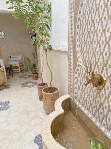a bathroom with a fountain with two potted plants at Riad21 in Marrakesh