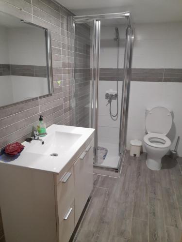 a bathroom with a sink and a shower and a toilet at O fogar da musiña in Maside