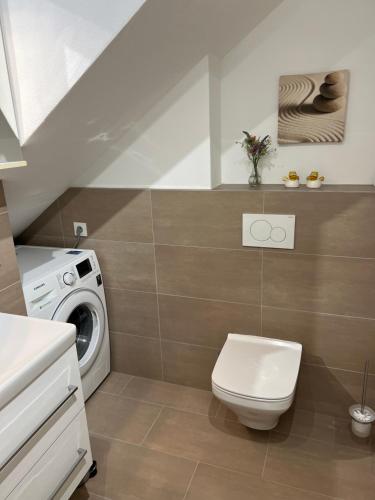 a bathroom with a toilet and a washing machine at gemütliche Wohnung mit Kamin - Sunny Hill Holiday Home in Echternacherbrück