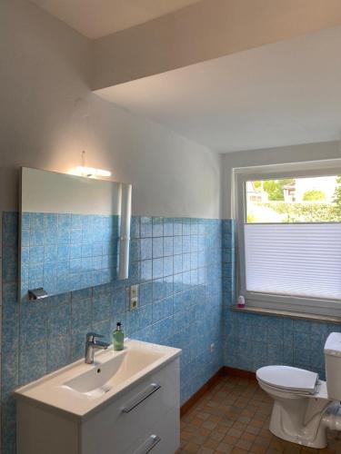 a bathroom with a sink and a toilet and a window at Am Fuße zur Napoleonschanze in Hohnstein