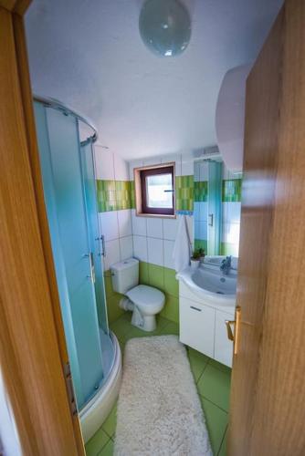 a bathroom with a toilet and a sink at VILLA MILLA-Grubine in Grubine