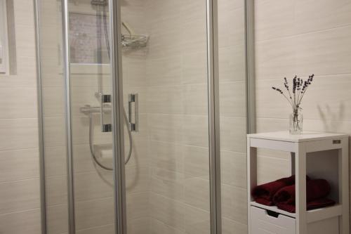 a bathroom with a shower with a glass door at Ferienwohnung Windmühlenberg in Fürstlich Drehna
