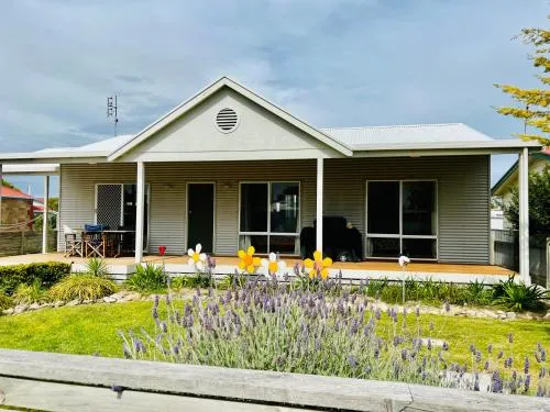 SUMMER DAYSIES - Pet Friendly WiFi picture