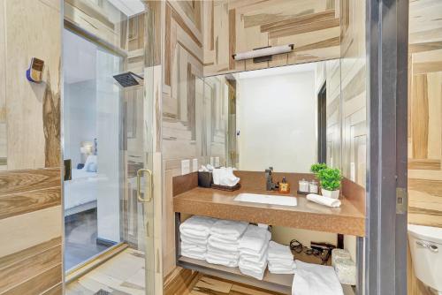 a bathroom with a sink and a mirror at Good Hotels Downtown Denver in Denver